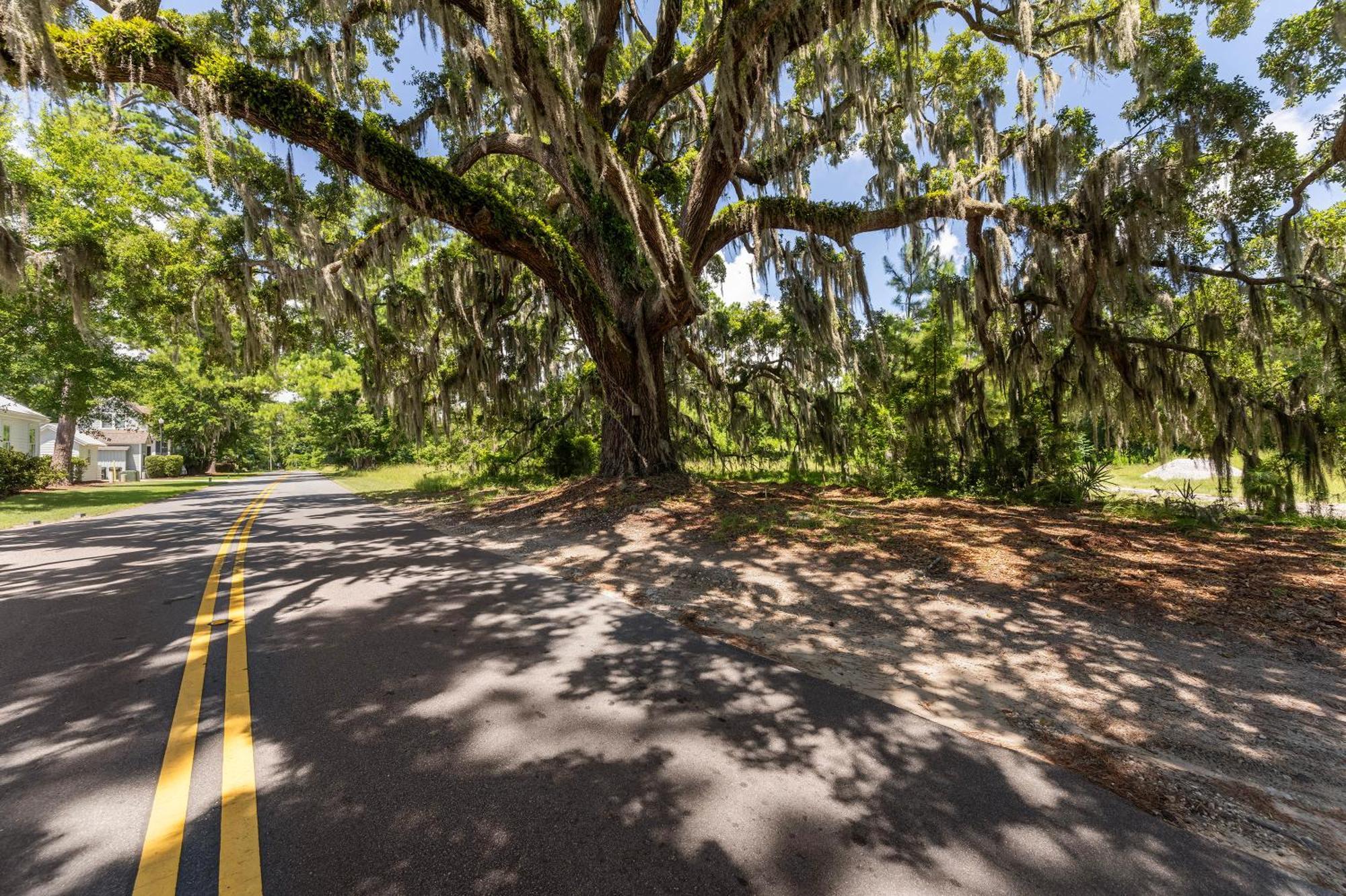 Low Country Cottage In Beautiful Habersham Beaufort Exterior photo